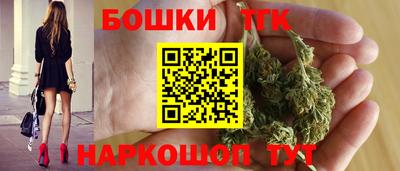 СК Гатчина