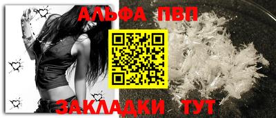СК Гатчина