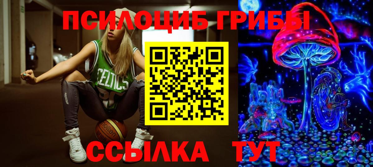 Галлюциногенные грибы Cubensis  Вход с VPN  Мурманск 
