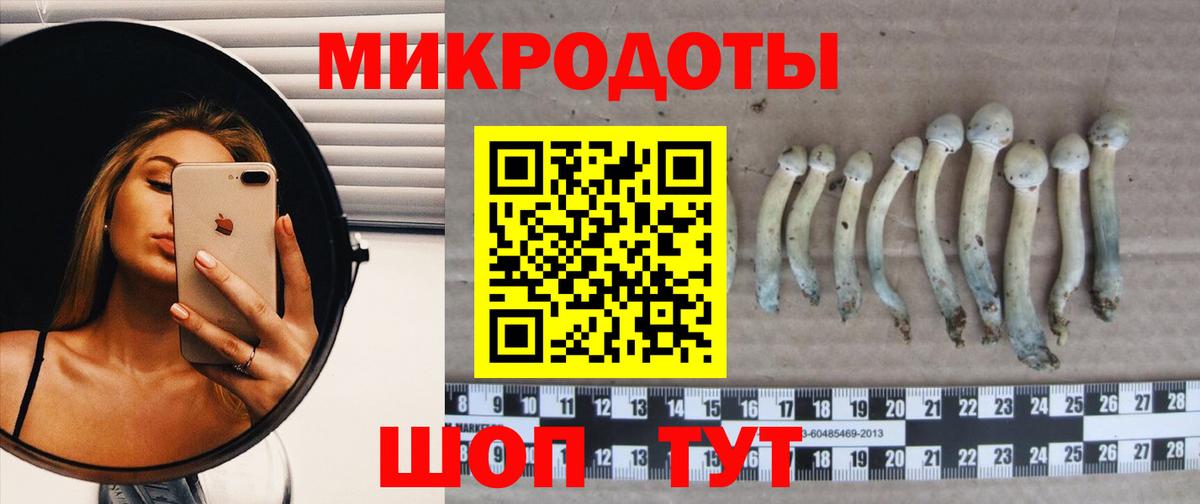Псилоцибиновые грибы мицелий Мурманск